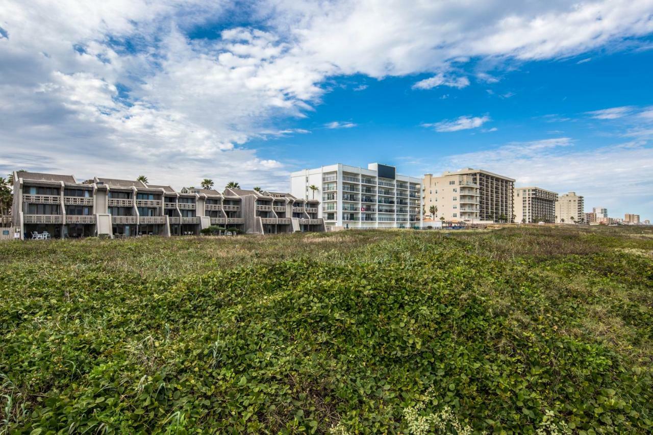 Apartmán Palm Tree Escape South Padre Island Exteriér fotografie