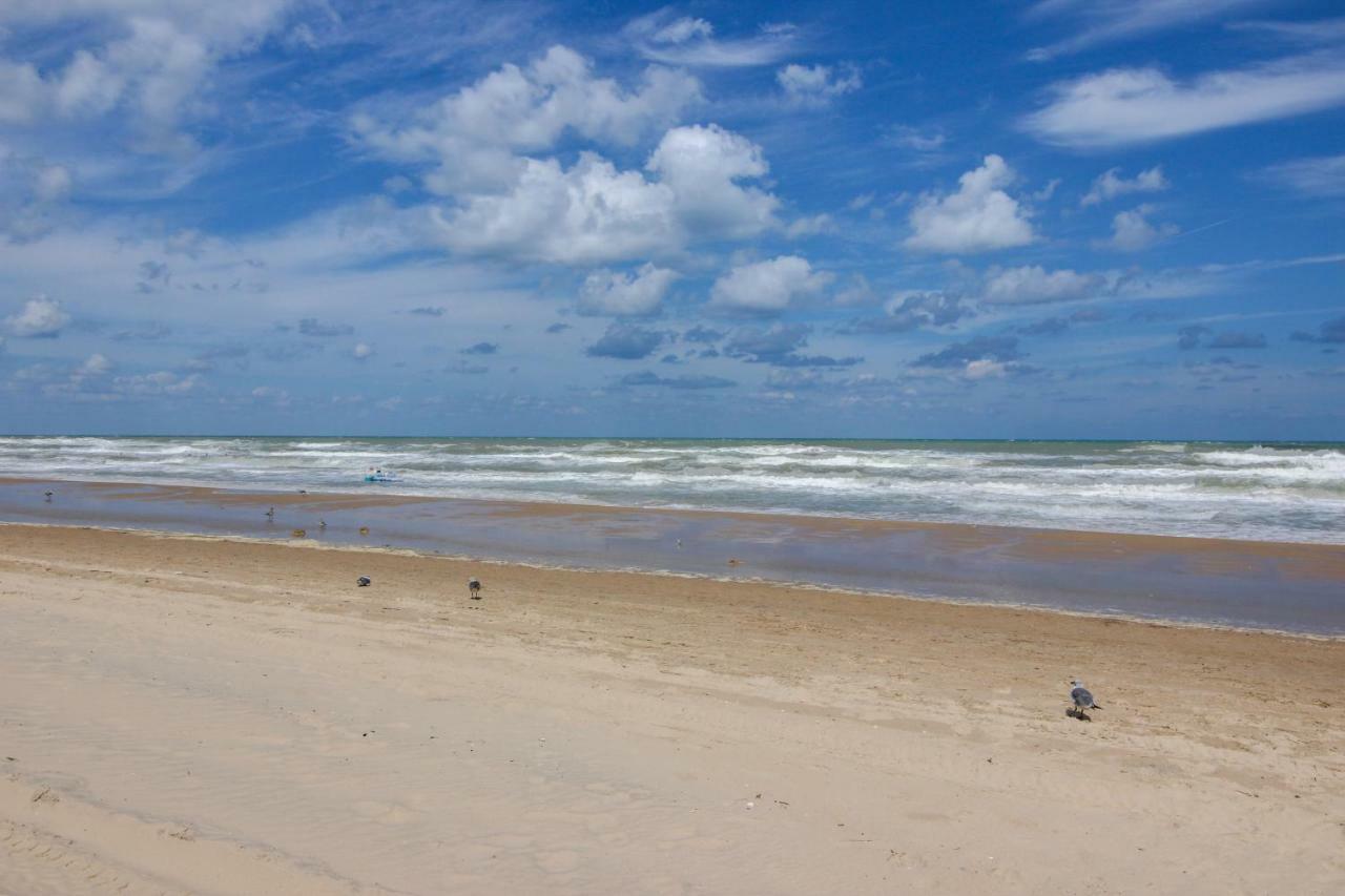 Apartmán Palm Tree Escape South Padre Island Exteriér fotografie