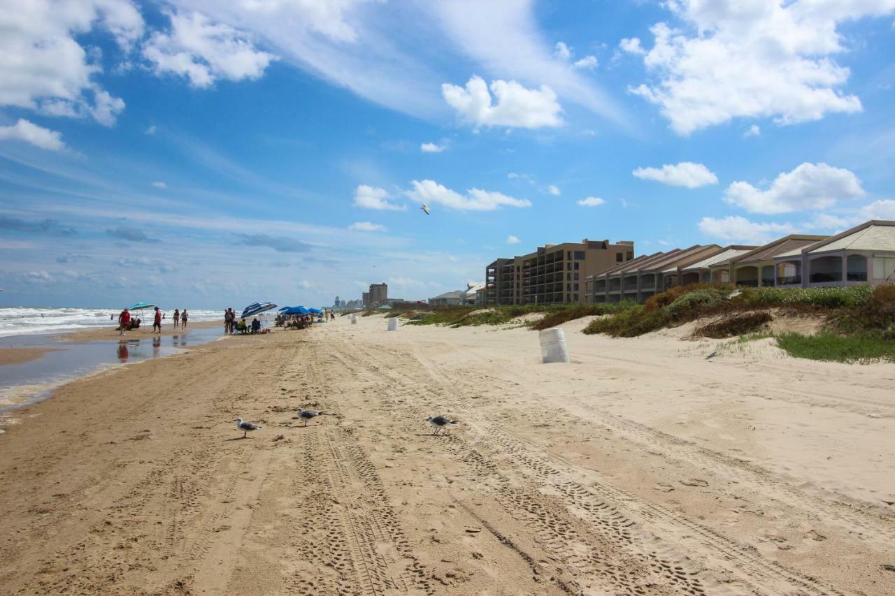 Apartmán Palm Tree Escape South Padre Island Exteriér fotografie