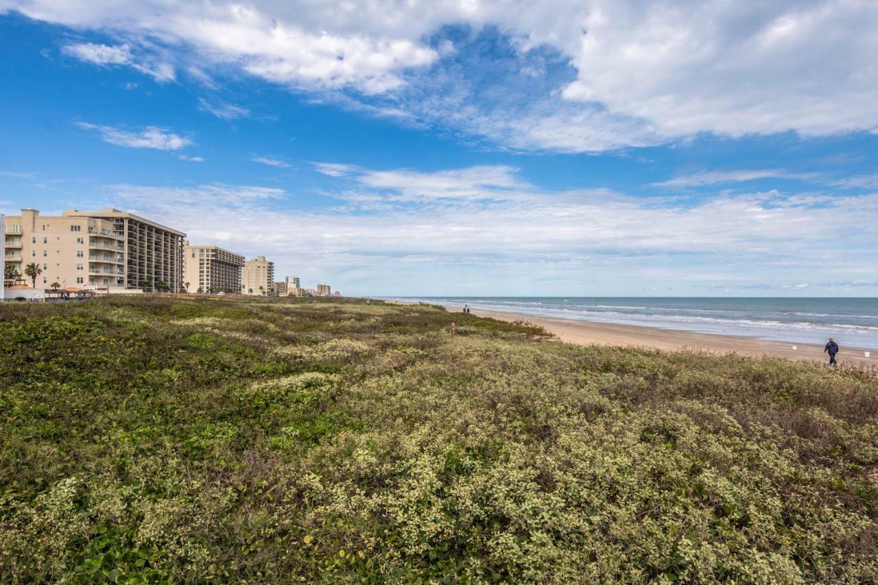 Apartmán Palm Tree Escape South Padre Island Exteriér fotografie