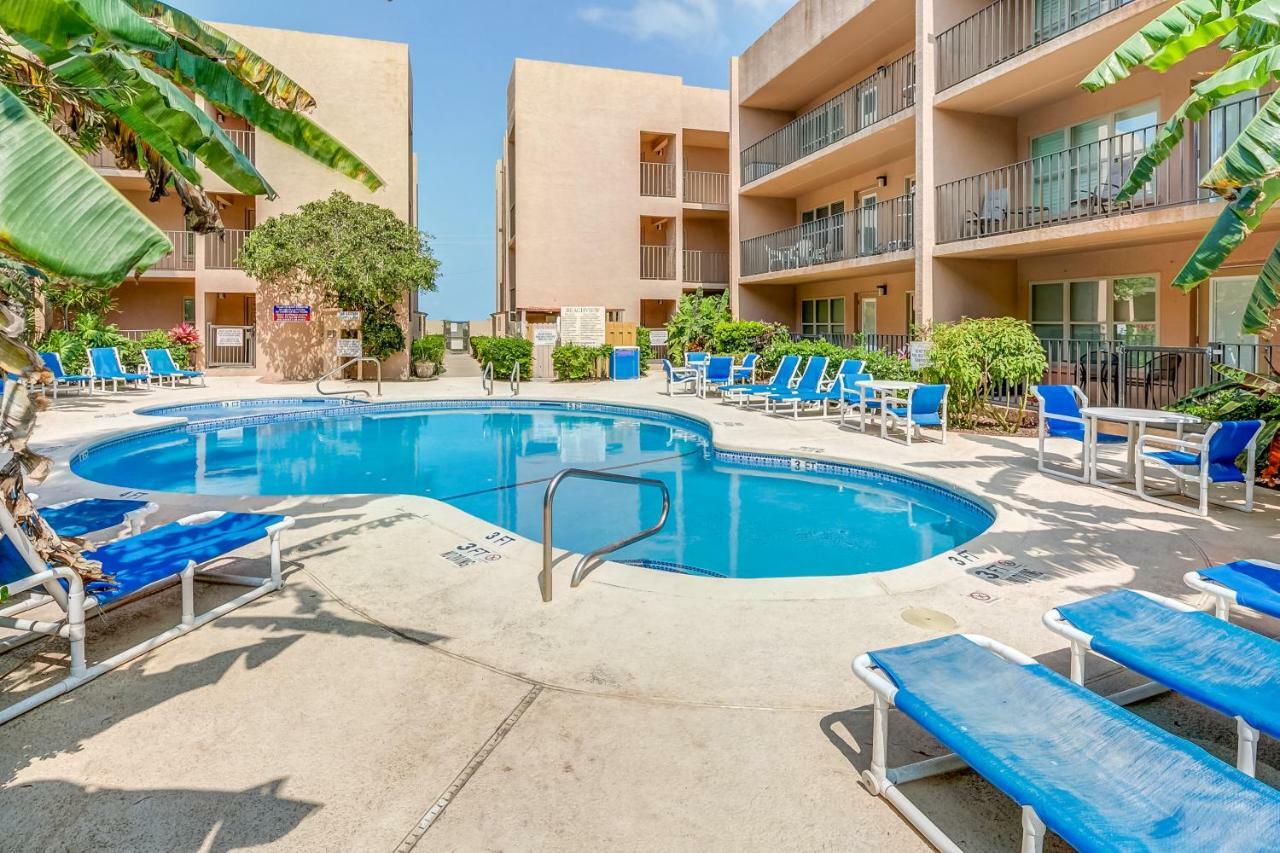 Apartmán Palm Tree Escape South Padre Island Exteriér fotografie